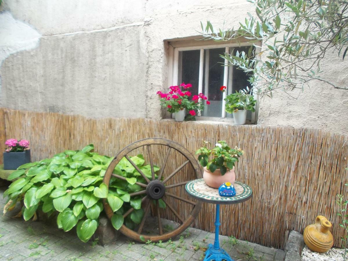 Ferienwohnungen Pension Aurora Kappel-Grafenhausen Extérieur photo